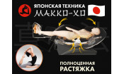 Массажное кресло FUJIMO  氣 FLEXOR F500 Grey
